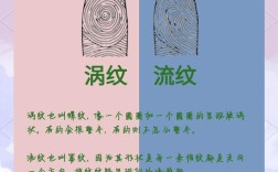 指纹识别属于什么技术