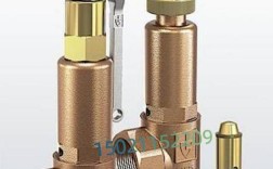 国外知名安全阀品牌有哪些？