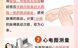 脉搏心率测量技术方案有哪些核心方法？