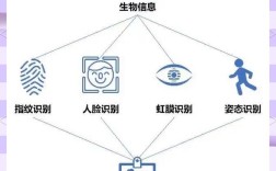 哪种生物识别技术最可靠？