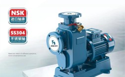 2025年排污泵品牌哪家强？