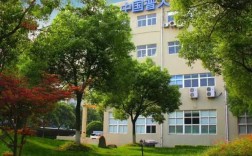 上海FAE技术支持，具体负责哪些工作？