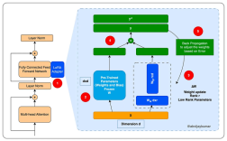 LoRA技术存在哪些问题？