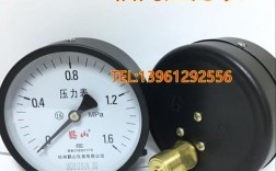 xy是哪个品牌的压力表？