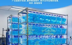 斑马鱼养殖系统进口品牌