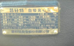 耐腐蚀自吸泵十大品牌，哪些更值得选？