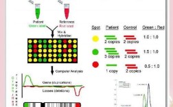 DNA芯片技术有哪些明显缺点？