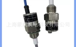 国内液位传感器品牌有哪些推荐？
