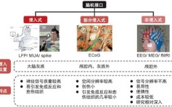 Q TOF接口技术如何提升质谱性能与稳定性？