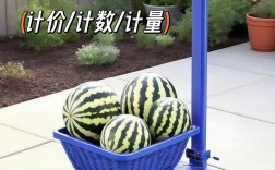 电子称重品牌怎么选？