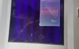 凝胶电泳国产品牌哪个好？