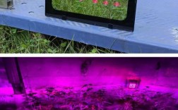 LED植物灯技术如何优化植物生长效率？