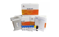 猪ELISA试剂盒品牌哪个好？