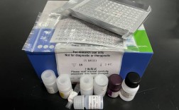 ELISA国产品牌哪个更靠谱？