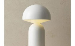 手机 智能灯泡 技术