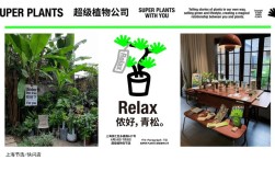 植物表型平台品牌有哪些？