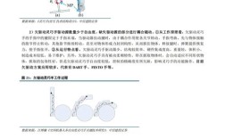 nblot技术存在哪些明显缺点？