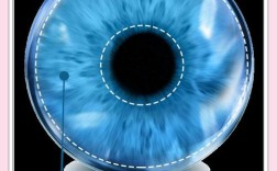 虹膜识别技术前景技术