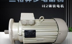 VEM是什么品牌的电机？