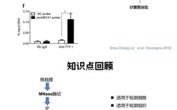 Chip技术优缺点如何权衡？