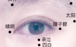 电动眼睛按摩器维修原理