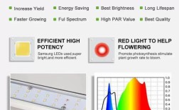 LED灯如何科学助力植物生长？