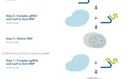 rlso需要技术帮助