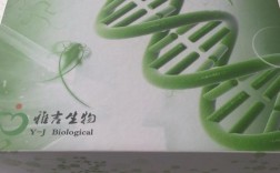 BV试剂盒哪个品牌更可靠？