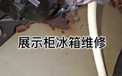 冰箱r600的维修视频