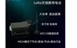 LoRa频谱资源如何分配与使用？