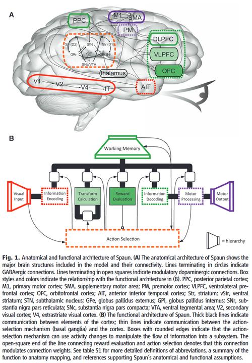 RBF神经系统修复技术效果如何？-图2