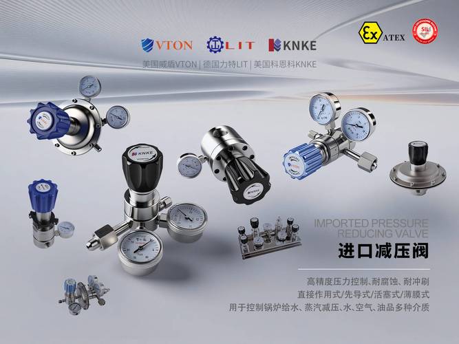 德国仪表阀门品牌哪家强?-图3 德国仪表阀门品牌哪家强?-图3