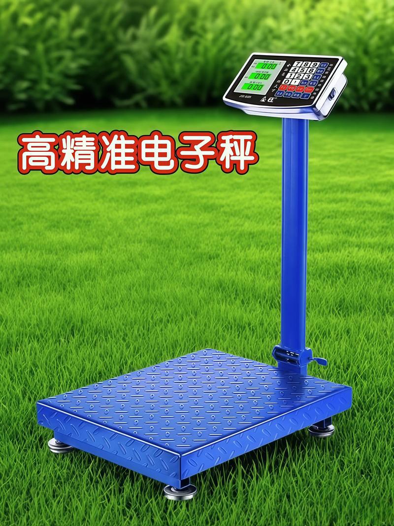 中国电子秤品牌怎么选？-图2