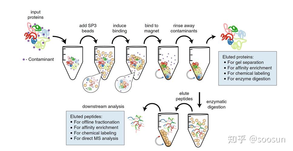 外泌体分离免疫磁珠品牌-图3 外泌体分离免疫磁珠品牌-图3
