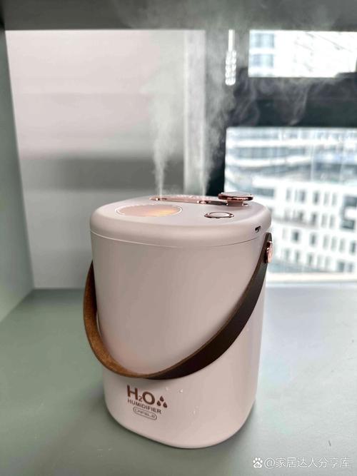 什么品牌加湿器适合办公室使用？-图3