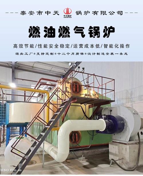 燃气锅炉 10t 品牌-图1