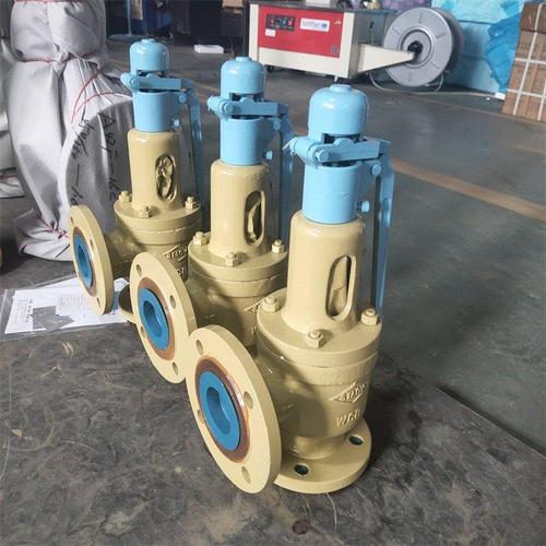 弹簧式安全阀国际大品牌哪家强?-图1 弹簧式安全阀国际大品牌哪家强?-图1