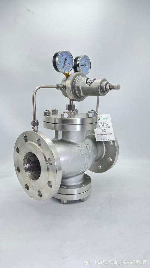 进口大口径减压阀门品牌选哪个好？-图3