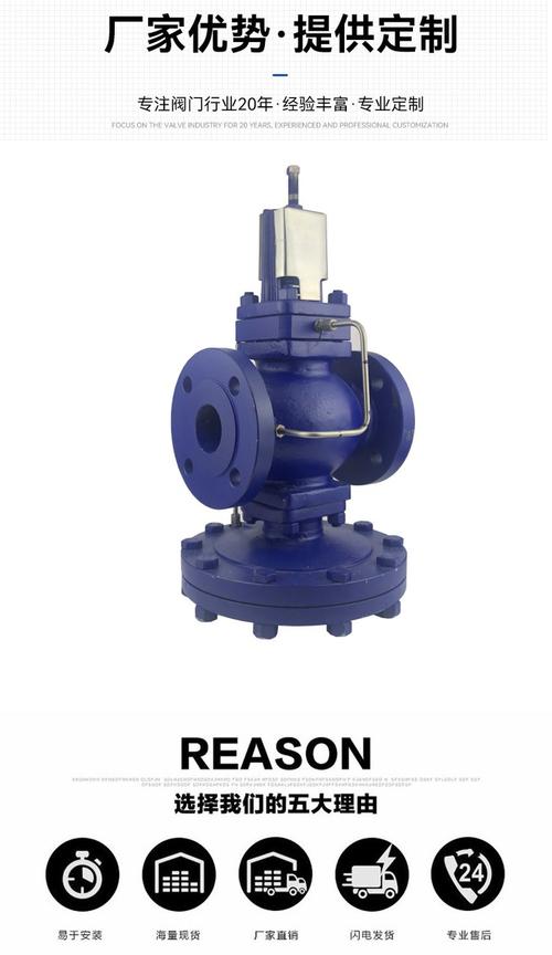进口大口径减压阀门品牌选哪个好？-图2