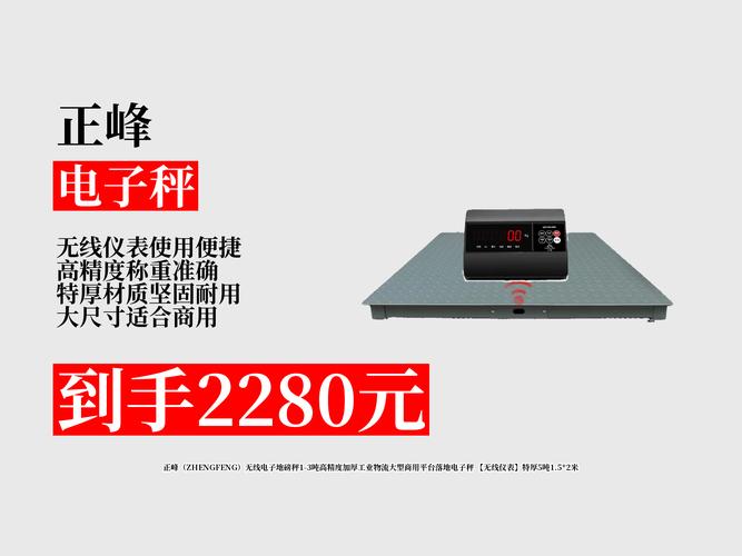 无线电子称重显示仪品牌怎么选？-图3