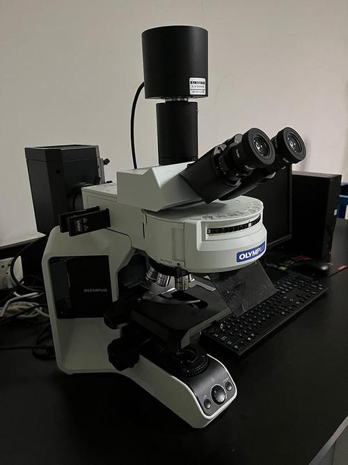 国际知名数码显微镜品牌有哪些?-图2 国际知名数码显微镜品牌有哪些?-图2