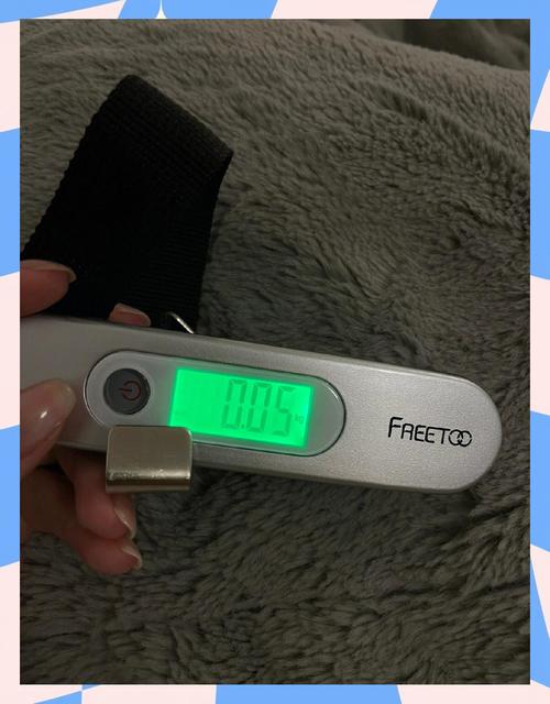 便携式地磅品牌怎么选？-图3