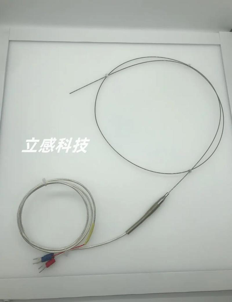 高温热电偶品牌型号哪家好？-图3