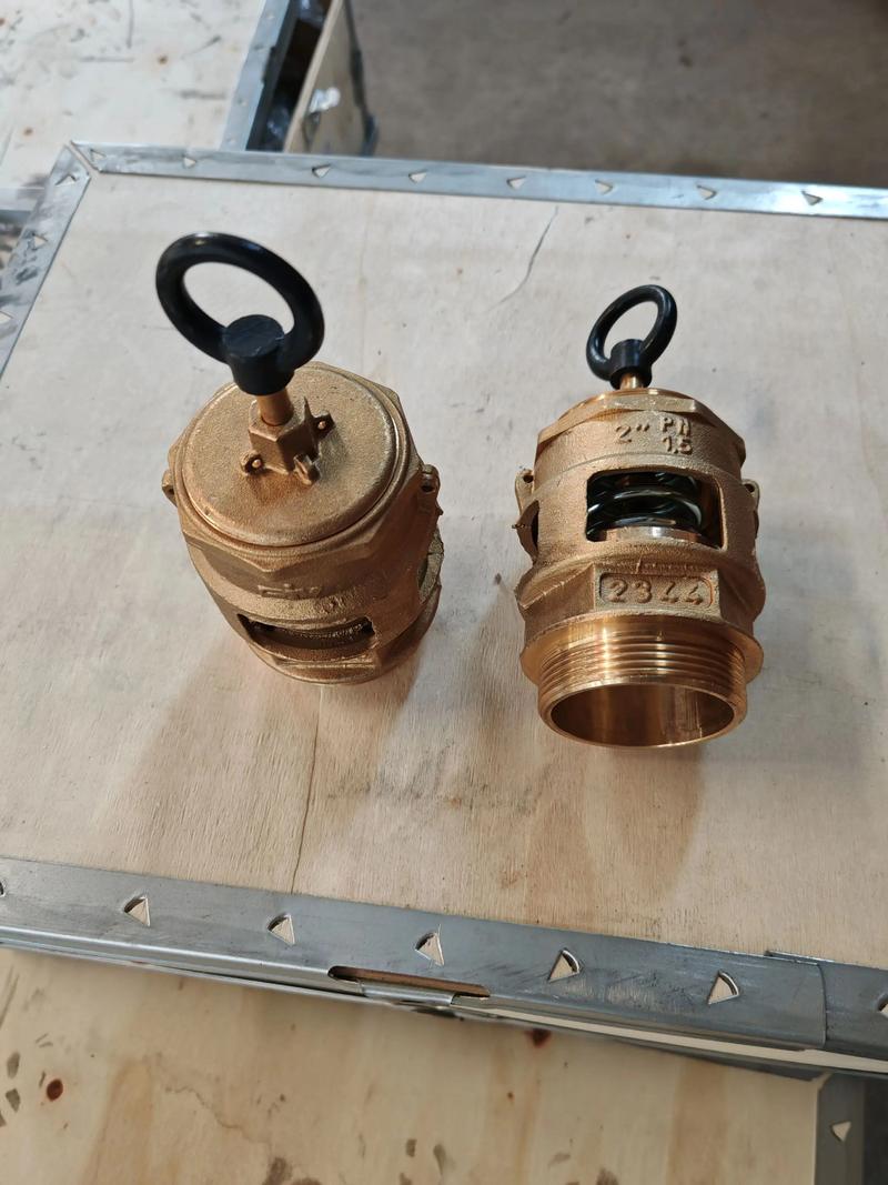 进口安全阀品牌里,大口径选哪个好?-图3 进口安全阀品牌里,大口径选哪个好?-图3