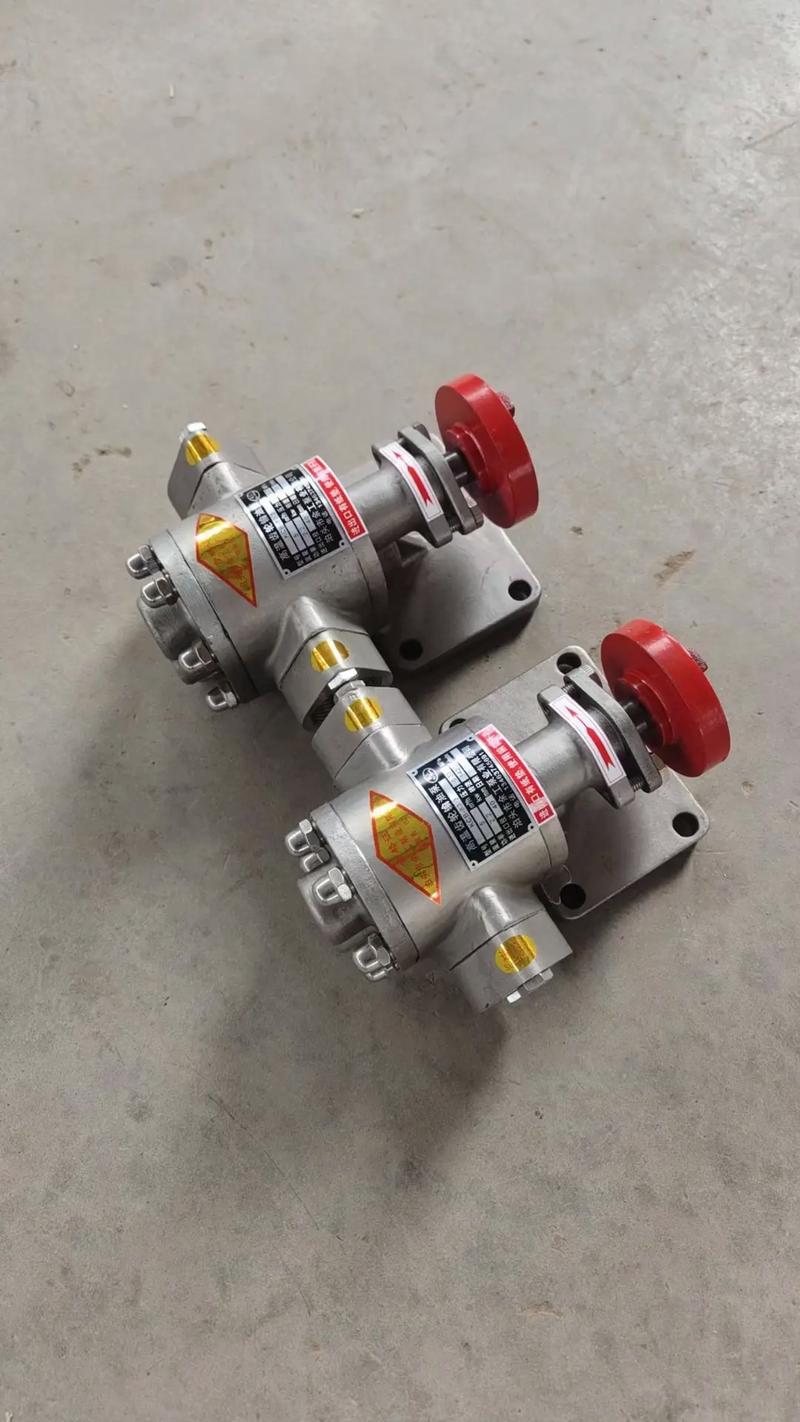 DN50高温齿轮泵品牌-图1