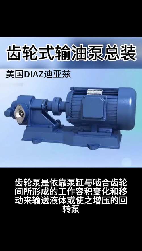 DN50高温齿轮泵品牌-图2