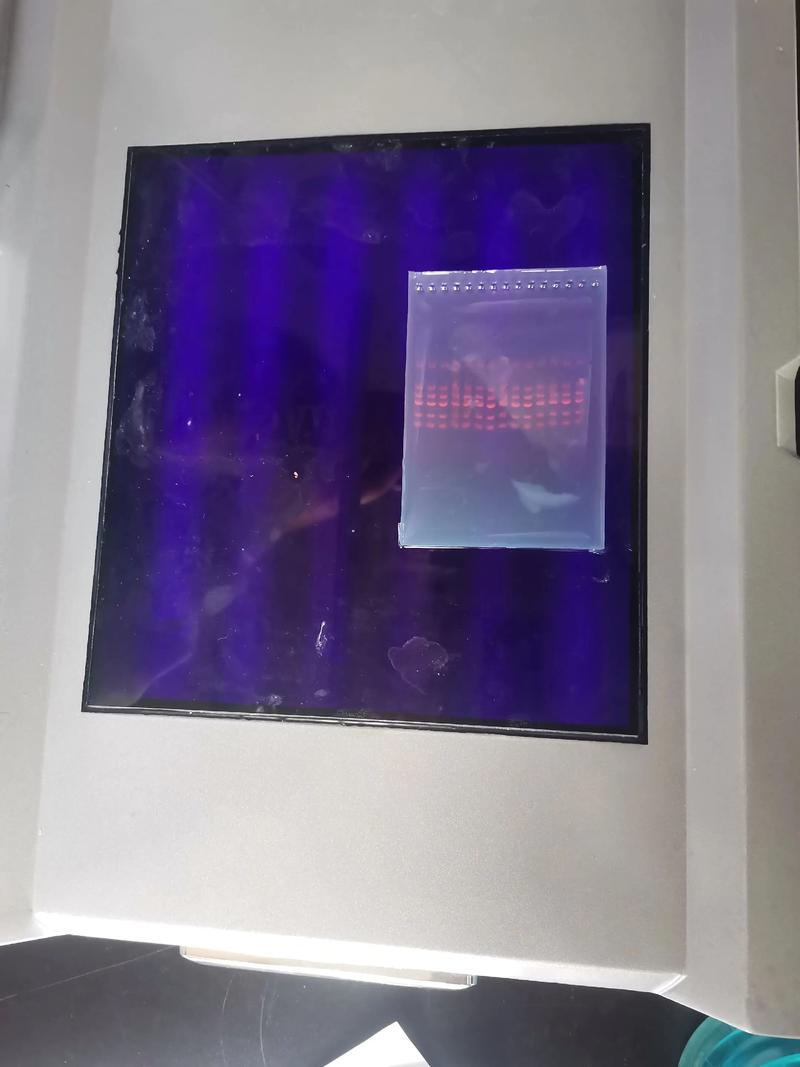 凝胶电泳国产品牌哪个好？-图1