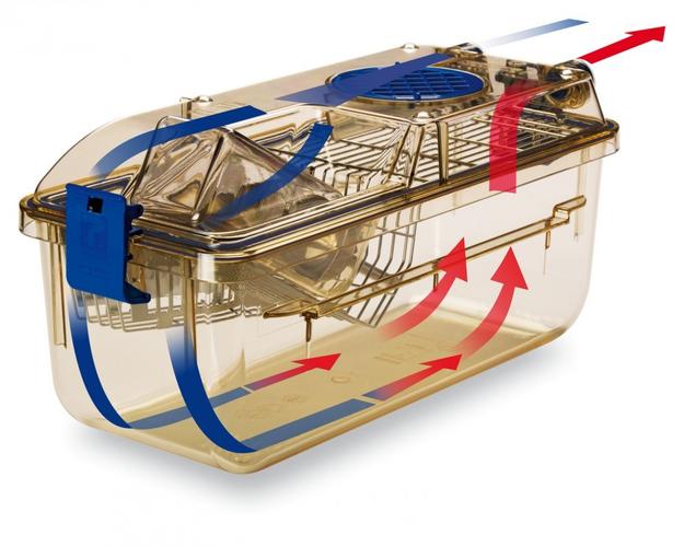 动物IVC笼具国外品牌哪家强？-图1