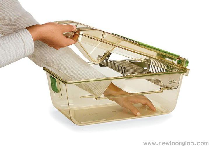 动物IVC笼具国外品牌哪家强？-图2