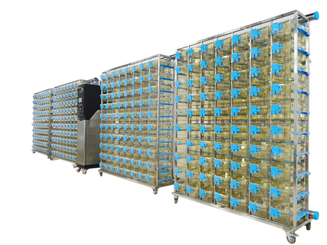 动物IVC笼具国外品牌哪家强？-图3